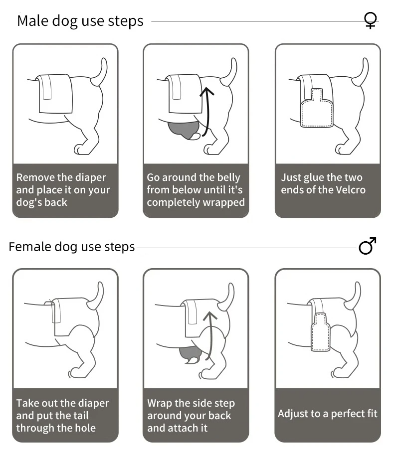 Fralda descartável superabsorvente para cães do sexo masculino