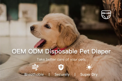 Super Absorbent Disposable Male Dog Pet Diaper