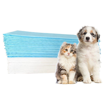 Pet Pee Training Pee Pad Puppy Kitten Physiological Mattress OEM ODM Wholesale